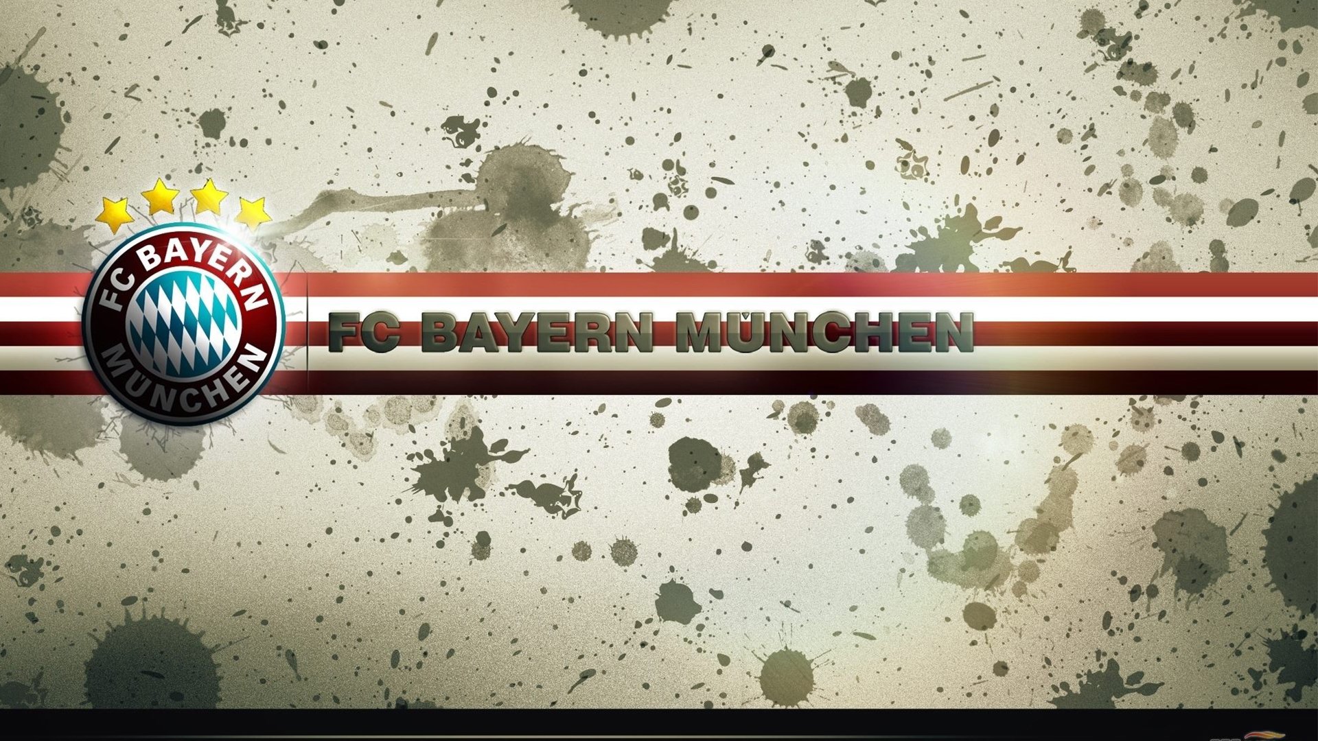 奥地利男队自由泳强势起步，奥地利游泳名将