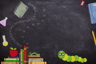 小选手争夺入营资格，小选手争夺入营资格视频